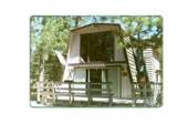Check out our Cabin at Big Bear
